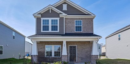 223 Cedar Knoll  Circle, Pineville