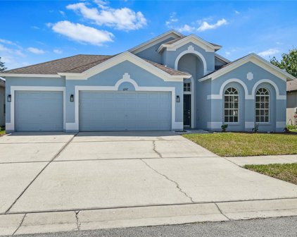 6747 Sparkling Way, Wesley Chapel