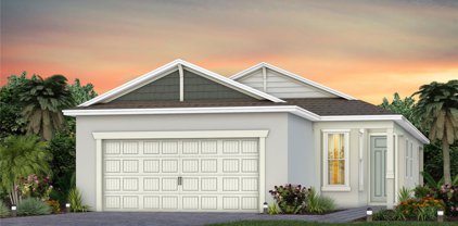 1590 Delightful Drive, Davenport
