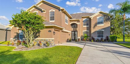 4322 Harbor Lake Drive, Lutz