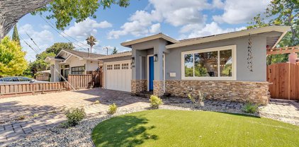 491 Burgoyne ST, Mountain View