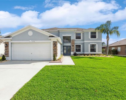 11113 Hoffner Edge Drive, Riverview