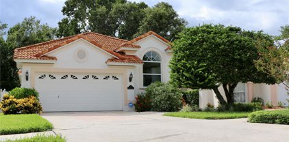 1107 Callista Avenue, Valrico