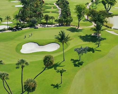 Talis Park Homes for Sale