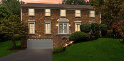 11233 Fall River Ct, Potomac