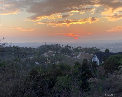 1404 Vista de Lomas, Bonsall