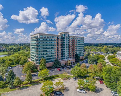 6420 Double Eagle Drive Unit #804, Woodridge