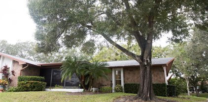 2280 Shelly Drive Unit A, Palm Harbor
