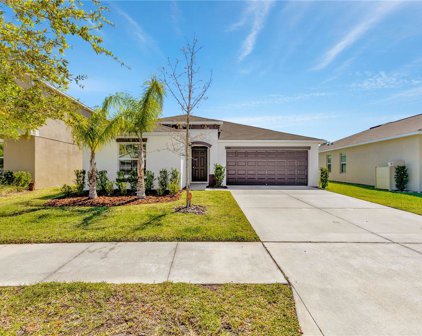 17232 White Mangrove Drive, Wimauma
