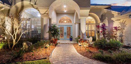 4910 Turtle Creek Trail, Oldsmar