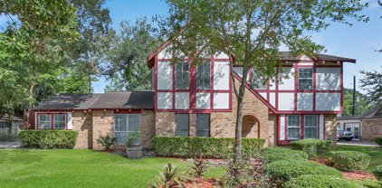 710 Magic Oaks Drive, Spring
