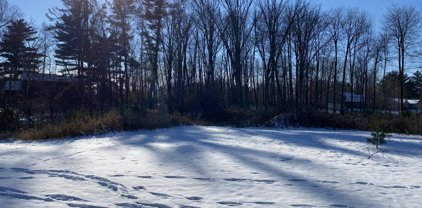 Lot 41 Sunflower Way, Amery