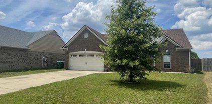 4869 Cantata Drive, Walls