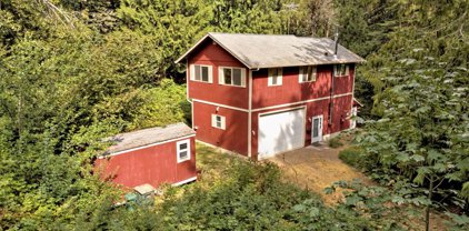 250 N Olympic Trails Drive, Lilliwaup