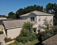 1411 Marsh Wood Drive, Seffner image