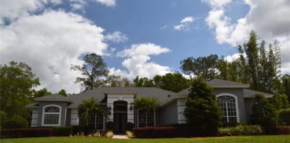 264 Bald Eagle Run, Lake Mary