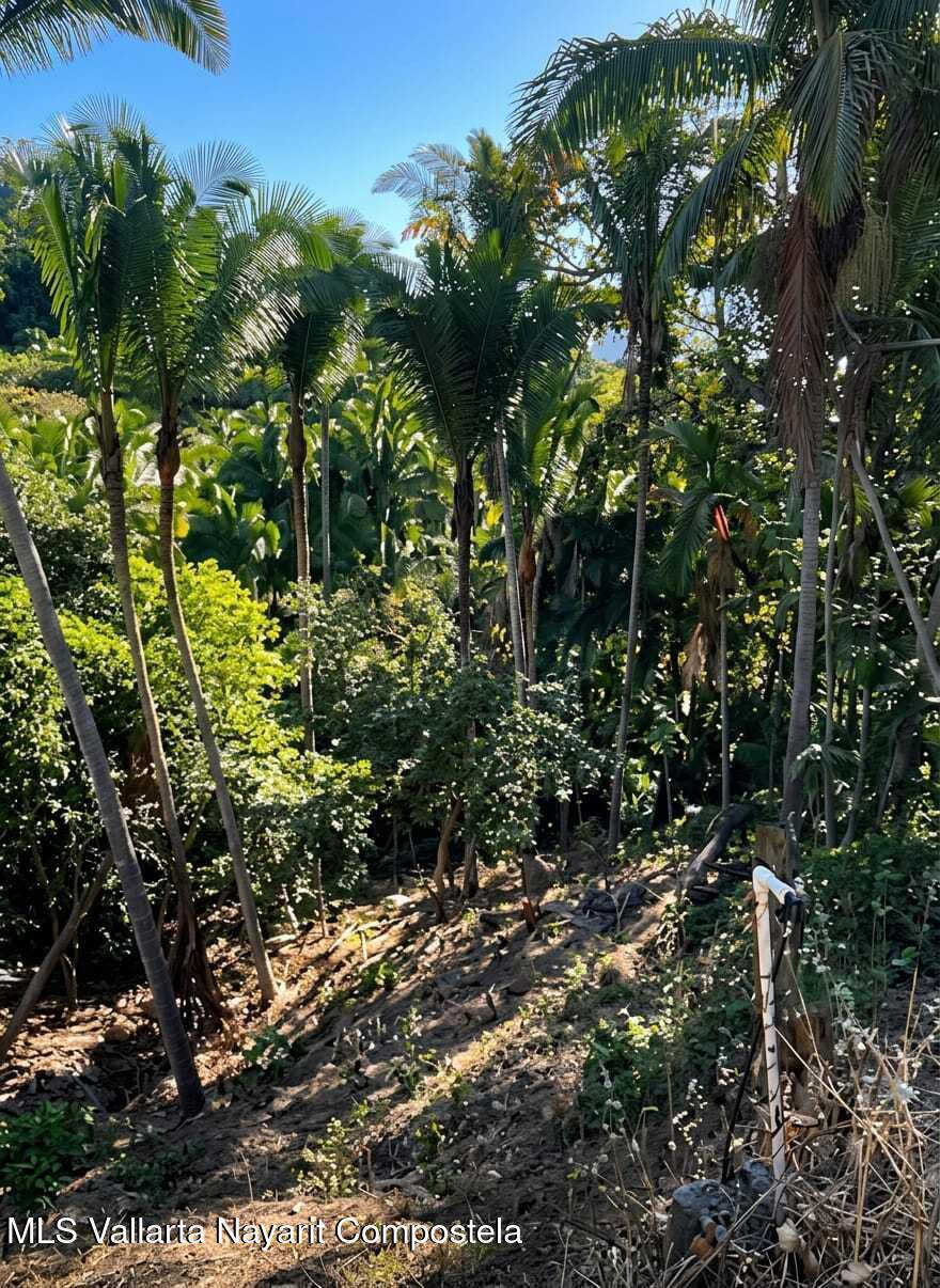 LOTE 8 CAMINO A LAS CLAVELLINAS N/A, Riviera Nayarit, NAYARIT N/A — San Pancho