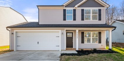 6608 Cool Water  Court, Charlotte