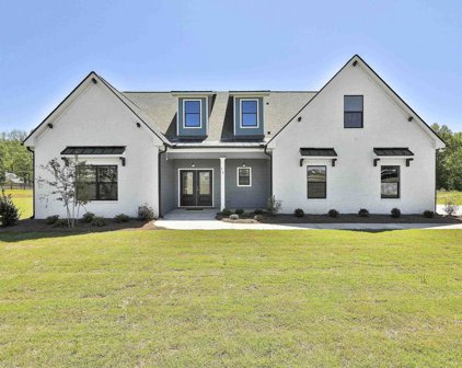 38 Bluff Mill Farms Drive, Senoia