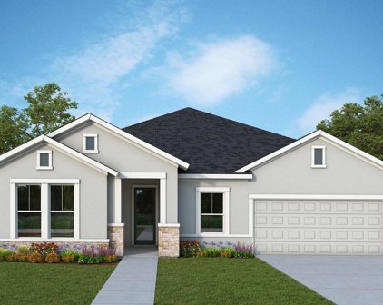 31558 Westbury Estates Avenue, Wesley Chapel
