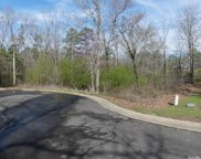 Lot 21 Rose Creek, Hot Springs image