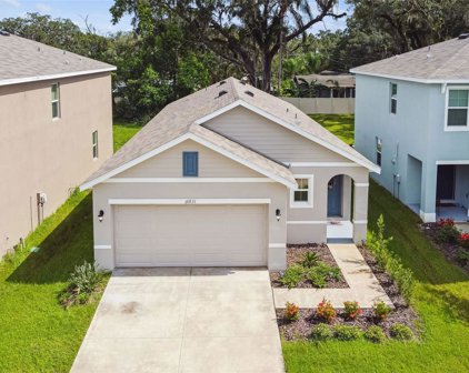 10831 Trailing Vine Drive, Tampa