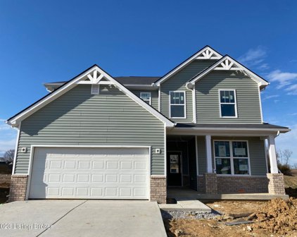 1001 Dry Run Ct, Shelbyville