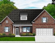 180 Collins Cove Drive, Chapin image