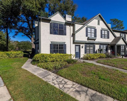 16661 Brigadoon Drive, Tampa