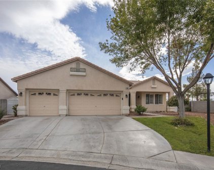 5791 Coyote Meadow Avenue, Las Vegas