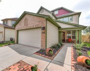 11047 Dellrose Crossing Drive, Richmond image