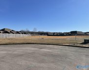 911 Arrowhead Cir, Trinity image