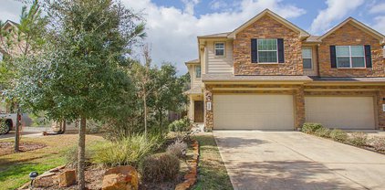 315 Bloomhill Place, The Woodlands