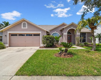 1403 Clearglades Drive, Wesley Chapel