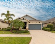 6309 Springline Place, Apollo Beach image