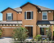 12742 Oak Hill Way, Parrish image
