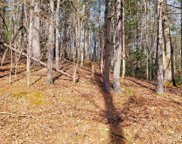 00000 Delacy  Drive, Hendersonville image