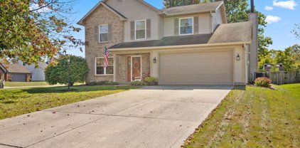 1039 E White Ash Court, Mooresville