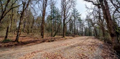 5450 Destiny Ln, Salem