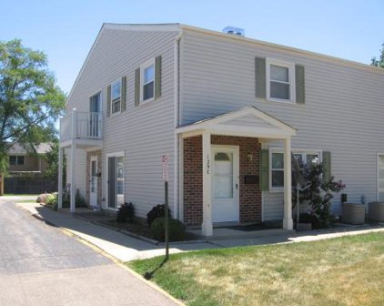 129 Lucille Court Unit #C, Bartlett