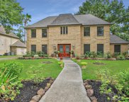 14619 Forest Lodge Drive, Houston image