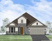 704 Treetop Pass, New Braunfels image
