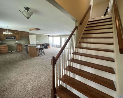 7048 County Road 1763, Arab