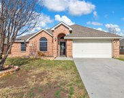 1108 Horn Toad  Drive, Fort Worth image
