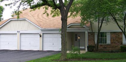 372 Newport Lane Unit #B2, Bartlett
