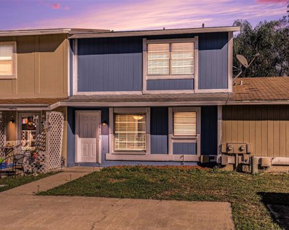 14103 Village Terrace Drive, Tampa