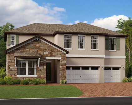 9821 Sword Fern Way, Land O' Lakes