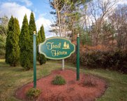 77 Trail Haven Drive, Londonderry image