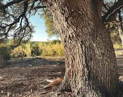 Lot 16 Rifle Ridge, Burnet