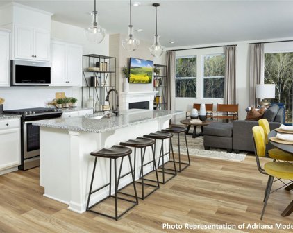 1215 Bigelow  Street Unit #293 Adriana Craftsman, Charlotte